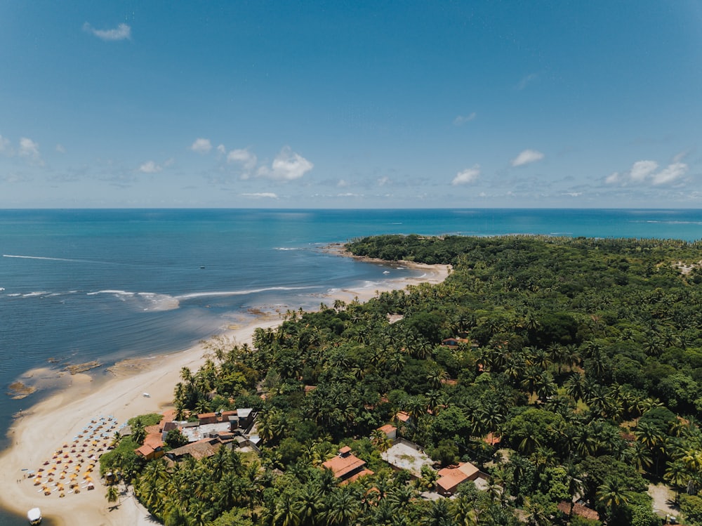 Vista aérea da costa tropical da Península de Maraú, Bahia